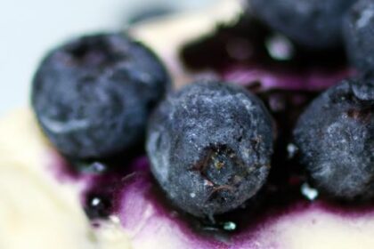 Zesty No-Bake Lemon Blueberry Cheesecake: Fresh & Easy Delight